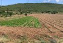 Marmara Denizine Cepheli 9.192 m² Satılık Arazi