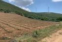 Marmara Denizine Cepheli 9.192 m² Satılık Arazi